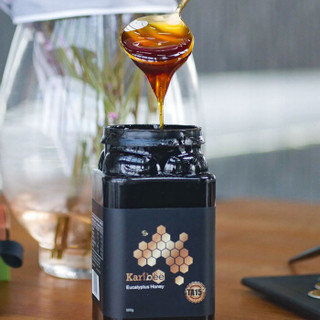 Karibee 可瑞比澳洲原装进口桉树蜂蜜TA15+天然活性蜂蜜500g