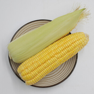 GREENSEER 绿鲜知 新鲜甜玉米 黄粒 1kg 简装 新鲜蔬菜 云南产地