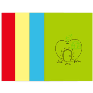 aucsa4软磁彩色擦写白板贴冰箱贴警示留言贴红黄蓝绿四色4张