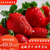 大凉山高原红颜草莓3斤