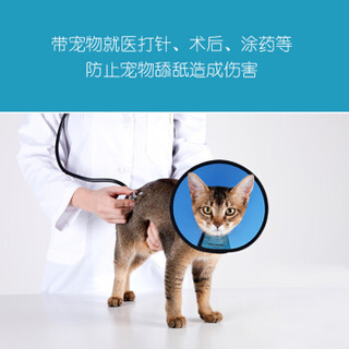 迪普尔 伊丽莎白圈 耻辱圈狗狗项圈狗头套猫项圈宠物狗脖套猫头套防咬圈狗用品7号6斤以下宠物