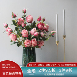南十字星美式客厅仿真花艺套装假花玫瑰花束礼物摆件玻璃花瓶 什么值得买
