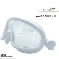 GULL H001 护目镜