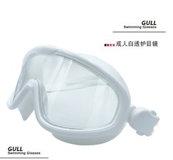 GULL H001 护目镜