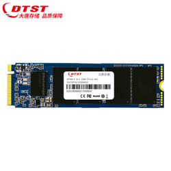 大唐存储256GB M.2接口 PCIe Gen 3*4 SSD固态硬盘 DT500-P系列