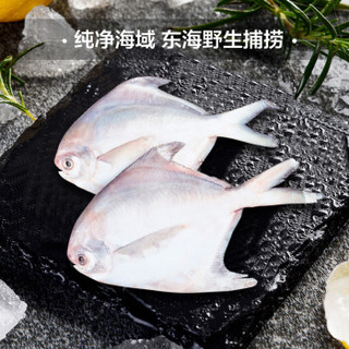 三都港 冷冻东海银鲳鱼 550g 5条 袋装 平鱼 海鲜水产