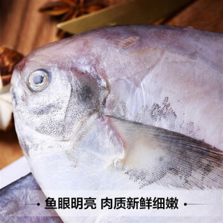 三都港 冷冻东海银鲳鱼 550g 5条 袋装 平鱼 海鲜水产