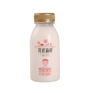 完达山 乳此新鲜 全脂草莓牛奶 236ml*5  巴氏杀菌鲜牛奶