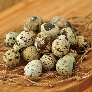 土大妈鹌鹑蛋36枚新鲜生的安全有营养