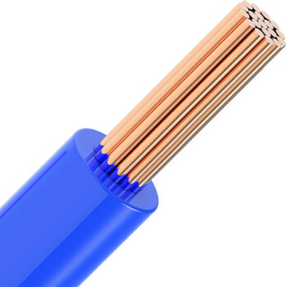 飞雕（FEIDIAO）电线电缆 BVR4平方 国标家用铜芯电线单芯多股软线100米 蓝色零线