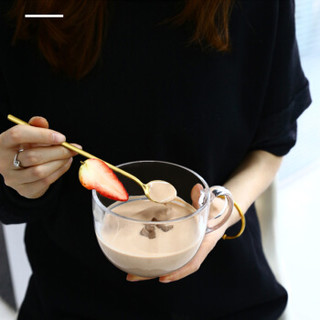 川秀巧克力风味酸奶粉 家用自制酸奶发酵菌粉139g