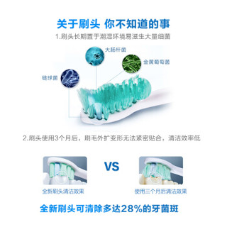 飞利浦(PHILIPS) 电动牙刷头 牙菌斑防御+专业标准型套装 HX9021/67+HX6011/05 适配HX6730 HX6803 HX6856