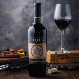 星得斯（SIDUS WINE） 智利进口红酒 H800红葡萄酒750ml