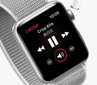 Apple 苹果 Watch Series 3 智能手表 42毫米 (GPS+蜂窝网络 运动型表带 )