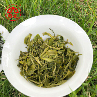 福州春伦茶叶明前云芽绿茶罐装新茶福建茶叶250g