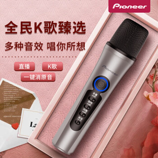 先锋（Pioneer） LM10全民k歌主播手机专用手持话筒 快手抖音直播录音麦克风 珐琅灰