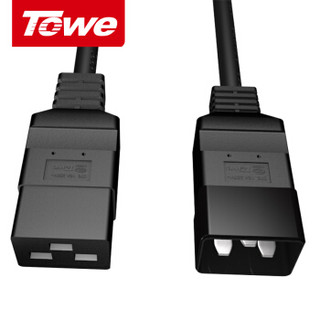 同为（TOWE） TW-F-C19/C20 c20转c19 pdu电源线/延长线 16A大功率3米3*1.5平方