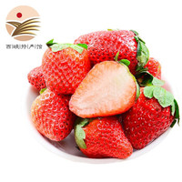 红颜草莓 巧克力奶油草莓 4.5斤装