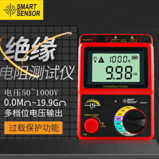 希玛 兆欧表 电子摇表绝缘电阻测试仪数字绝缘电阻表（测试电压1000V）AR907+