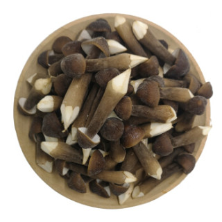 绿鲜知鸡枞菌蘑菇食用菌菇约300g火锅食材新鲜蔬菜