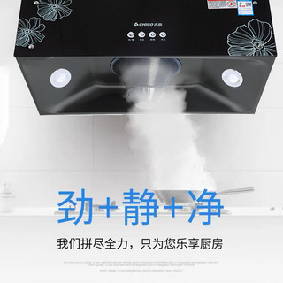 CHIGO 志高 H093 中式顶吸式 抽油烟机