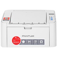 PANTUM 奔图 P2206 黑白激光打印机