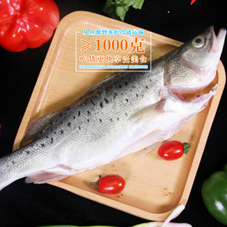 仙泉湖 三去白蕉海鲈鱼1kg*1条净膛冷冻刺少肉厚地标海鲜水产
