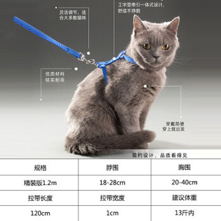 梦幻泡泡猫咪牵引绳拴猫绳溜猫绳子遛猫绳项圈猫带宠物胸背带 猫链子牵引带颜色随机