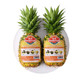 佳农 菲律宾菠萝 2个装 单果900-1100g *2件