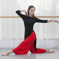 AUDDE 2019夏季新款女装新品T恤女现代舞练功服上衣舞蹈服服装宽松形体训练服开叉 AAAYYFS08 黑色 L