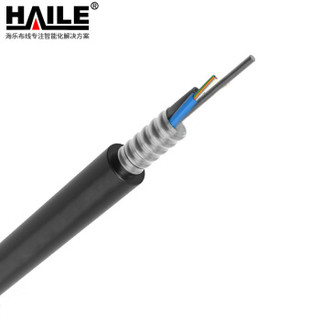 HAILE 海乐 HT210-12SC 中心束管式GYXTW单模12芯室外铠装光缆光纤100米（总长度可订制）
