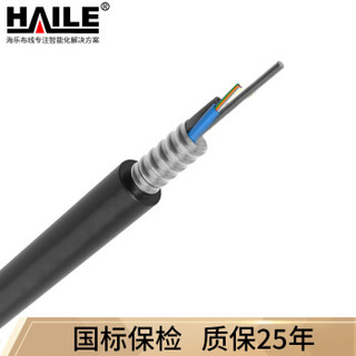 HAILE 海乐 HT210-12SC 中心束管式GYXTW单模12芯室外铠装光缆光纤100米（总长度可订制）