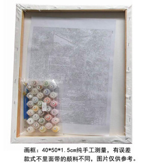 墨斗鱼 DIY数字油画3483流光溢彩40*50cm自做油画客厅装饰画手工手绘填色填充上色油彩画成人儿童