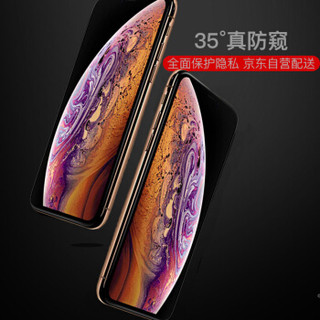 赛恳徳iPhoneXS Max防窥钢化膜 苹果XS Max防偷看钢化膜 高清全屏手机贴膜 6.5英寸黑色