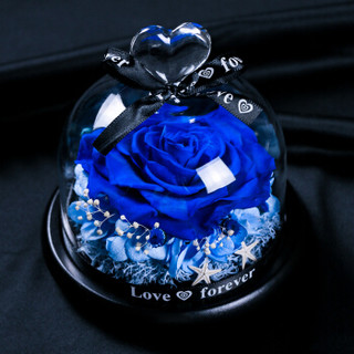 钟爱 永生花礼盒鲜花速递全国 玻璃罩蓝色永生花 情人节鲜花送女友生日礼物 创意礼品