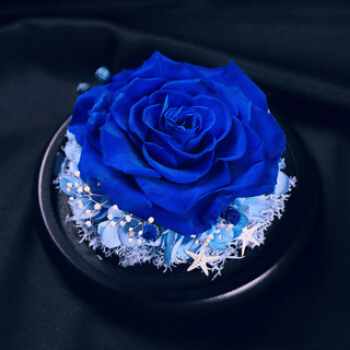 钟爱 永生花礼盒鲜花速递全国 玻璃罩蓝色永生花 情人节鲜花送女友生日礼物 创意礼品
