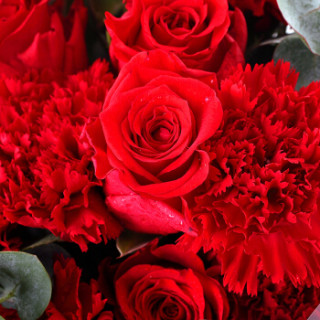 商品花千朵33朵红色康乃馨红色玫瑰混搭花束鲜花速递同城送花教师节