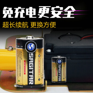 厚博 1号碱性高容量干电池1节 停车地锁专配配件 1个地锁需配4节干电池