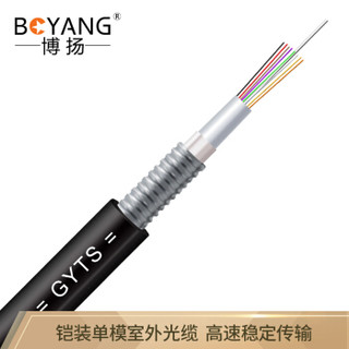 博扬（BOYANG）BY-GYTS-8B1 铠装8芯单模室外光缆 GYTS层绞式室外架空/管道网线光纤线 100米 可定制长度
