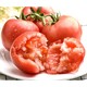 客悦鲜 攀枝花西红柿  净重约5.2斤
