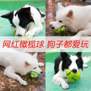 耐威克狗狗玩具 发声洁齿玩具橄榄球 金毛萨摩耶哈士奇泰迪柯基博美大小型犬玩具磨牙耐咬宠物用品