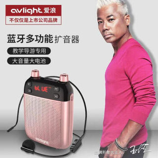 爱浪（Avlight）L7小蜜蜂蓝牙扩音器 大功率教学导游专用 插卡U盘播放器喇叭 唱戏机 玫瑰金