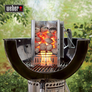 威焙（weber）进口木炭烧烤碳家用无烟机制木炭室内烤火取暖10斤耐烧环保