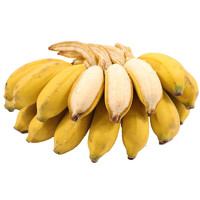 移动端：广西小米蕉  糯米蕉 新鲜香蕉 青香蕉 8斤装 正常发货