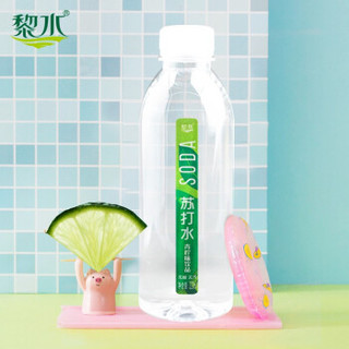 黎水 苏打水320ml*12瓶