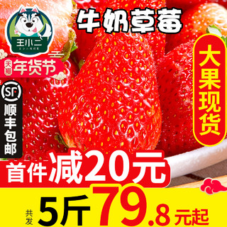 王小二 牛奶草莓 5斤