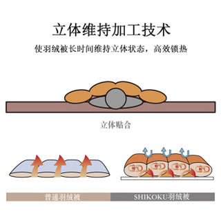 SHIKOKU 四国纤维贩卖 日本进口100支纯棉95%白鹅绒冬被