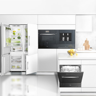 DAOGRS K3 嵌入式冰箱橱柜柜子双开门 白色 256L