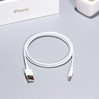 Ecclus MFi认证 Lightning to USB 数据线 1.2米