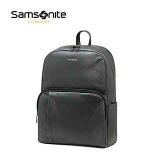 Samsonite 新秀丽 TN3003 男士双肩包 